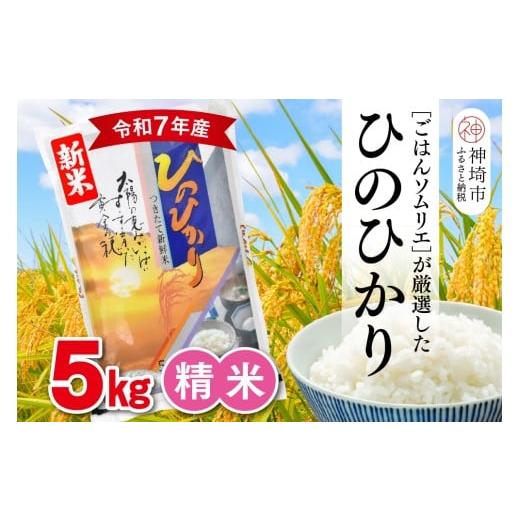 ふるさと納税 米 ヒノヒカリ 佐賀県 神埼市 令和7年産 新米 ごはんソムリエが厳選 白米 ひのひかり 5kg 神埼市産 米 お米 精米 白米 5kg ひのひかり ブランド…