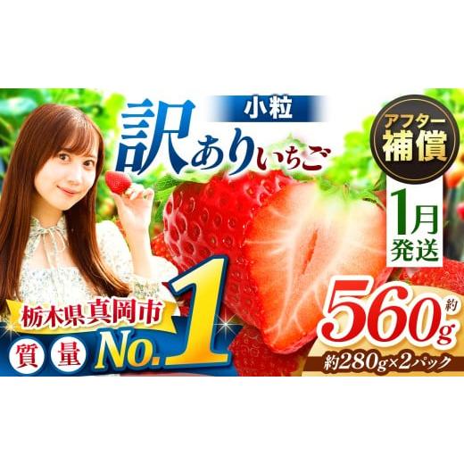 ふるさと納税 いちご 栃木県 真岡市 1月発送 訳あり 小粒 とちあいか 約560g 2P | 1月 2月 3月 4月 おいしい 訳あり | 生産量 日本一 果物 フルーツ 苺 イチ…