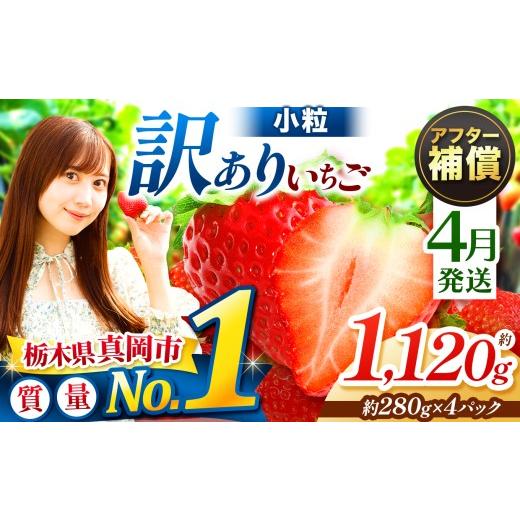 ふるさと納税 いちご 栃木県 真岡市 4月発送 訳あり 小粒 とちあいか 約1120g (280g×4パック) | 1月 2月 3月 4月 おいしい 訳あり | 生産量 日本一 果物 …