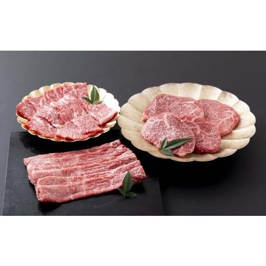ふるさと納税 牛肉 焼肉・バーベキュー 長崎県 佐世保市 [定期便]長崎県産牛 赤身 ぜいたく便 12回お届け