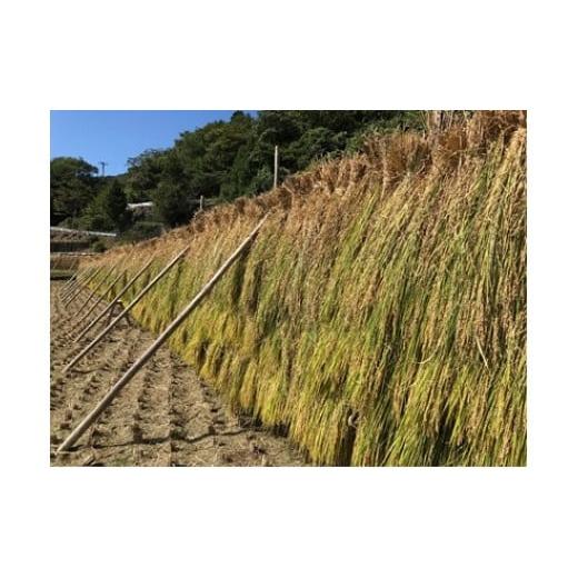 ふるさと納税 米 ヒノヒカリ 高知県 土佐町 土佐町はでかけ米5kg×3ヶ月(定期便)