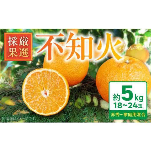 ふるさと納税 みかん・柑橘類 和歌山県 湯浅町 BK6013_庄助農園の不知火約5kg(18〜24玉・厳選採果)