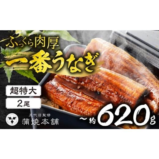 ふるさと納税 うなぎ 愛知県 豊橋市 年内お届け 超特大 国産うなぎ 蒲焼 2尾 詰め合わせ 蒲焼 ウナギ 2尾 4尾 6尾 うなぎ 鰻 ウナギ unagi 土用 丑の日 国産 …