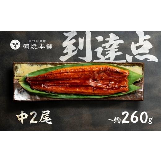 ふるさと納税 うなぎ 愛知県 豊橋市 年内お届け 国産うなぎ 蒲焼 2尾 詰め合わせ 蒲焼 ウナギ 2尾 4尾 6尾 8尾 10尾 うなぎ 鰻 ウナギ unagi 土用 丑の日 国…