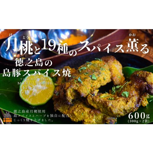 ふるさと納税 惣菜・レトルト 冷凍 鹿児島県 徳之島町 2493 月桃(げっとう)と19種のスパイス薫る 徳之島の島豚スパイス焼 600g ( MARUHACHI スパイス ハーブ…
