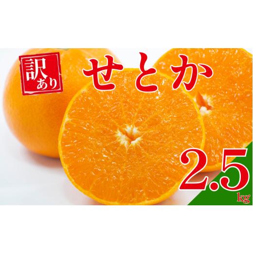 ふるさと納税 みかん・柑橘類 愛媛県 愛南町 先行予約 2026年 発送 訳あり せとか 2.5kg M サイズ 以上 サイズミックス 結園 柑橘 の 大トロ 柑橘 みかん 蜜柑…