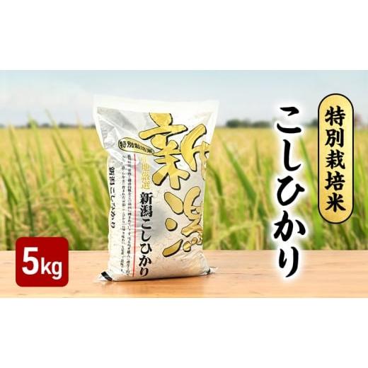 ふるさと納税 米 コシヒカリ 新潟県 上越市 新米 令和7年 新潟県産コシヒカリ 特別栽培米 5kg 5キロ 上越市 三和区神田 富永農産 有機肥料 自家製たい肥を使用…