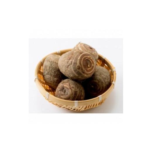 ふるさと納税 人参・大根・他根菜 富山県 小矢部市 お試しサイズ 里芋「縄文の里芋」2.8kg 1682110