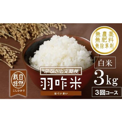 ふるさと納税 米 コシヒカリ 石川県 羽咋市 12月以降発送開始 定期便 新米 数量限定 令和7年産 新米 3kg × 3回 計 9kg 白米 コシヒカリ 羽咋米 自然栽培米 精…