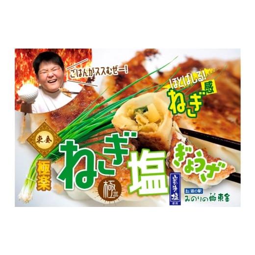 ふるさと納税 肉 千葉県 東金市 No.341 東金極楽ねぎ塩ぎょうざ2袋セット 20個入×2 / 餃子 ギョウザ 中華 ネギ塩 にんにく おつまみ 手軽なおかず 夕飯 昼…