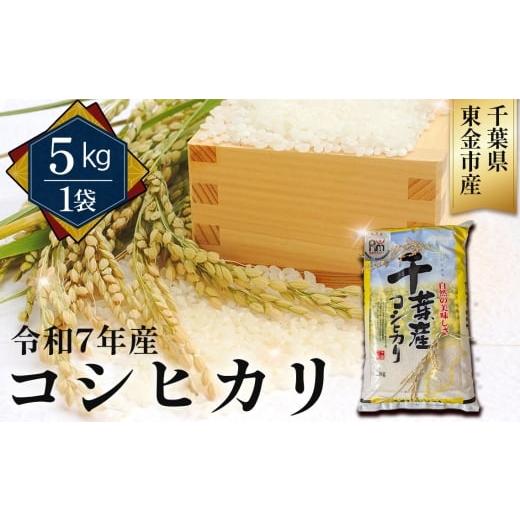 ふるさと納税 米 コシヒカリ 千葉県 東金市 No.342 令和7年産 コシヒカリ5kg(千葉県東金市産) / 米 お米 こしひかり ご飯 香り 粘り 甘味 お弁当 食事 東金…