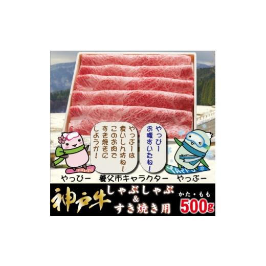 ふるさと納税 牛肉 すき焼き 兵庫県 養父市 神戸牛 しゃぶしゃぶ &amp; すき焼き用 かた ・ もも肉 計500g YBS2 1677764