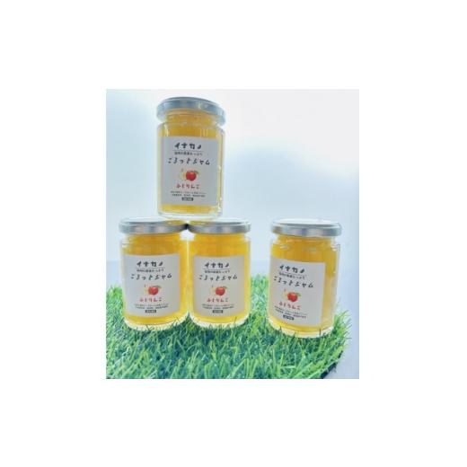 ふるさと納税 ジャム 長野県 中野市 イナカノ ごろっとジャム ふじりんご 140g×4本セット 信州中野 1625401