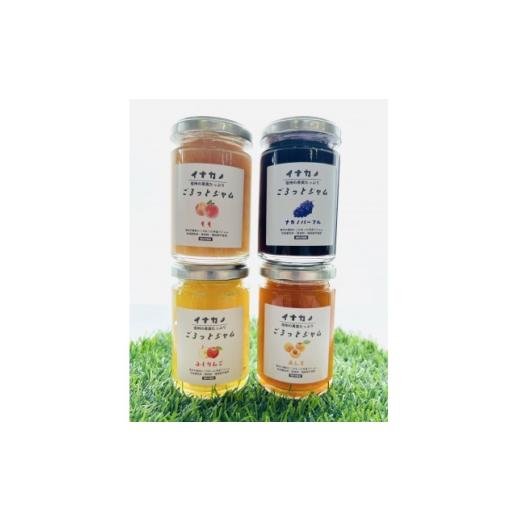 ふるさと納税 ジャム 長野県 中野市 長野県果実を使った イナカノ ごろっとジャム 140g×おすすめ4本セット A 1625462