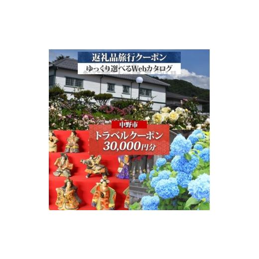 ふるさと納税 宿泊券 長野県 中野市 中野市 後から選べる旅行Webカタログで使える 旅行クーポン(30,000円分) 旅行券 宿泊券 1681282