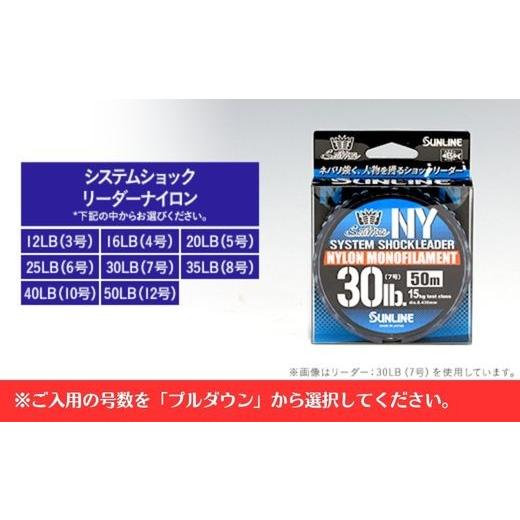 ふるさと納税 フィッシング リール 山口県 岩国市 システムショックリーダー ナイロン 釣糸 16LB(4号) 3個 サンライン 16LB（4号）_2