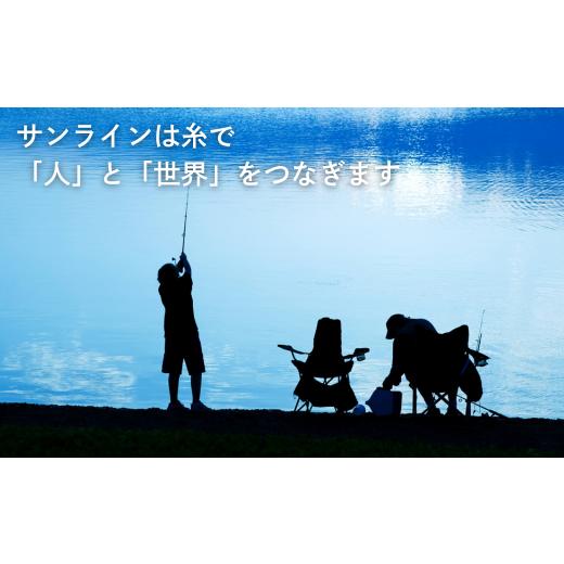 ふるさと納税 フィッシング リール 山口県 岩国市 システムショックリーダー ナイロン 釣糸 20LB(5号) 3個 サンライン 20LB（5号）_5