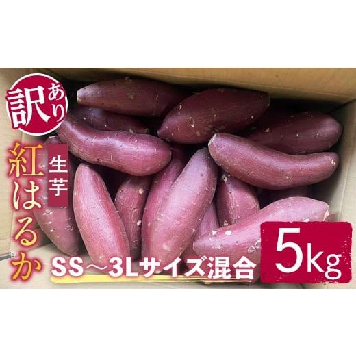 ふるさと納税 野菜類 サツマイモ 茨城県 常陸大宮市 訳あり サツマイモ(紅はるか) 5kg ss〜3Lサイズ混合 訳あり わけあり さつまいも サツマイモ べには…