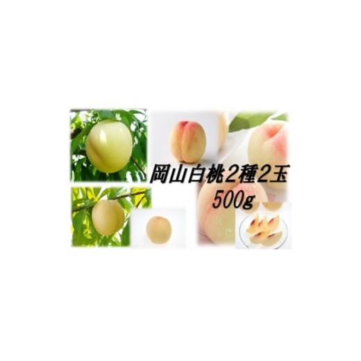 ふるさと納税 もも 岡山県 美作市 岡山白桃食べ比べ 晩生2種2玉 1684882