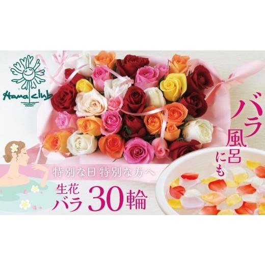 ふるさと納税 花・苗木 花束 愛知県 碧南市 [日付指定も可能] 観賞はもちろん バラ風呂やフラワーシャワーに ローズインにゅーよーくミックス30輪 バラ3…