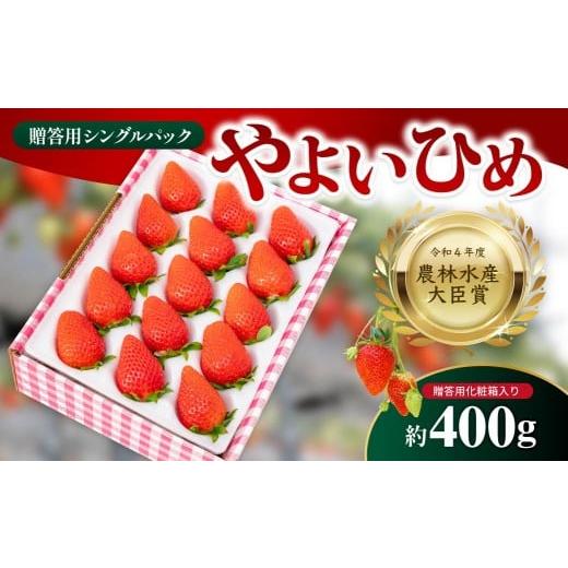 ふるさと納税 いちご 群馬県 前橋市 2026年先行予約 やよいひめ 贈答用 シングルパック 約400g入りトレー 1箱 | イチゴ 苺 高品質 フルーツ たっぷり 新鮮 完…