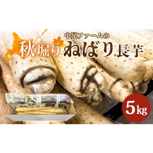 ふるさと納税 野菜類 北海道 羽幌町 秋堀り 中尾ファームのねばり 長芋 5kg | 長芋 国産 北海道産 野菜 取り寄せ ねばり長芋 秋掘り 山芋 とろろ すりおろし …