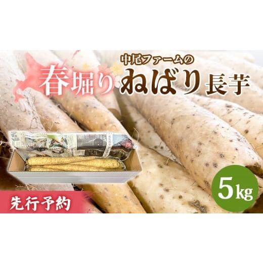 ふるさと納税 野菜類 北海道 羽幌町 先行予約開始 春堀り 中尾ファームのねばり長芋 5kg | 長芋 国産 北海道産 野菜 取り寄せ ねばり長芋 春掘り 山芋 とろろ…