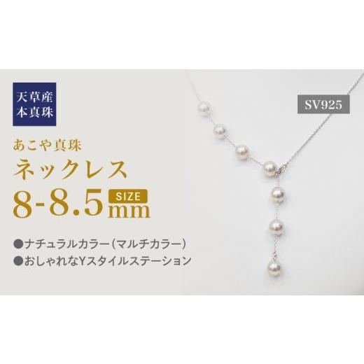 ふるさと納税 アクセサリー ネックレス 熊本県 天草市 S101-449_あこや真珠 天草 ネックレス マルチ Y字 無調色 8mm - 8.5mm ナチュラル SV シルバー