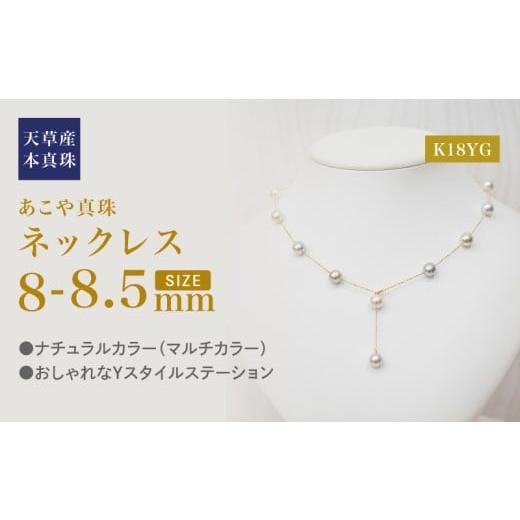 ふるさと納税 アクセサリー ネックレス 熊本県 天草市 S101-463_あこや真珠 天草 ネックレス ステーション マルチ Y字 2WAY 無調色 8mm - 8.5mm K18 K18YG K18…