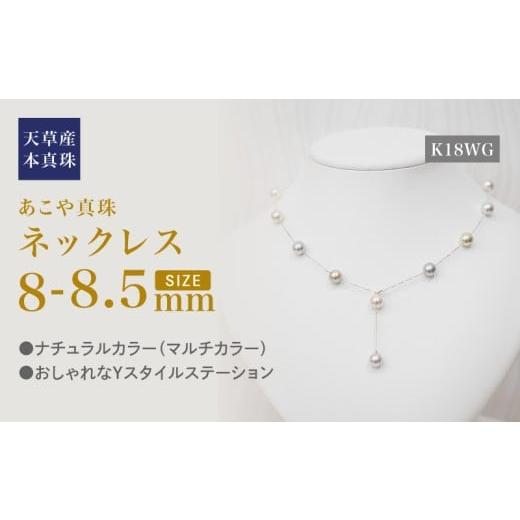 ふるさと納税 アクセサリー ネックレス 熊本県 天草市 S101-464_あこや真珠 天草 ネックレス ステーション マルチ Y字 2WAY 無調色 8mm - 8.5mm K18 K18WG K18…