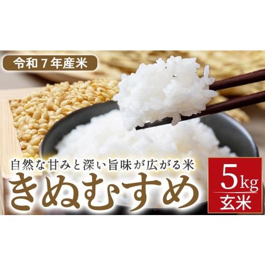 ふるさと納税 玄米 鳥取県 倉吉市 令和7年産米 きぬむすめ 玄米 5kg( 数量限定 新米 お米 米 こめ コメ きぬむすめ 玄米 ご飯 ごはん 紙製米袋 )