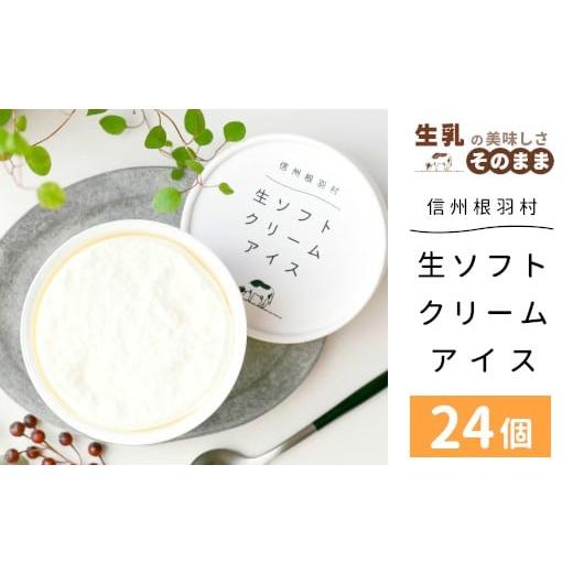 ふるさと納税 菓子 アイス 長野県 根羽村 着色料・香料不使用 生ソフトクリームアイス 24個 80ml 生乳 ミルク スイーツ アイスクリーム 搾りたて アイス ソフ…