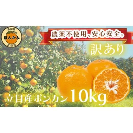 ふるさと納税 みかん・柑橘類 高知県 須崎市 早期予約開始 ポンカン 訳あり 10kg 2026年 1月下旬より順次発送 収穫分 無農薬 ブランド サイズ混合 家庭用 立…