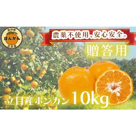 ふるさと納税 みかん・柑橘類 高知県 須崎市 早期予約開始 ポンカン 2026年1月下旬 発送 秀品 贈答用 10kg 無農薬 ブランド サイズ混合 家庭用 立目産ぽんか…