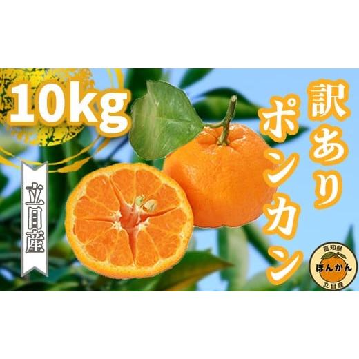 ふるさと納税 果物の詰合せ 高知県 須崎市 早期予約開始 2026年1月中旬より順次発送 ポンカン 訳あり 10kg サイズ混合 家庭用 立目 ブランド 果物 フルーツ …