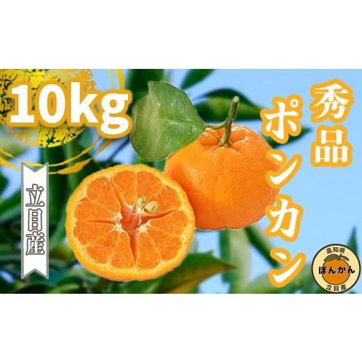 ふるさと納税 みかん・柑橘類 高知県 須崎市 早期予約開始 2026年1月中旬より順次発送 ポンカン 立目 秀品 贈答用 10kg サイズ混合 冬 フルーツ 果物 立目産 …