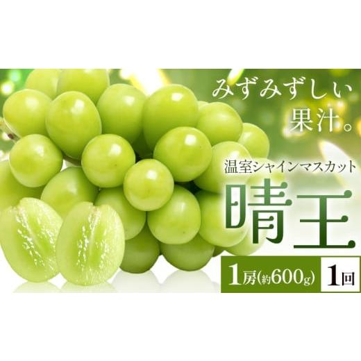 ふるさと納税 ぶどう マスカット 岡山県 浅口市 2026年発送先行予約 シャインマスカット 温室 晴王 1房(約600g) 1回お届け シャイン マスカット[2026年7月中…