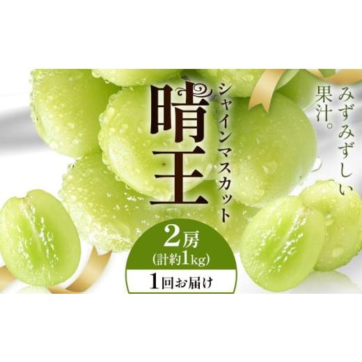ふるさと納税 ぶどう マスカット 岡山県 浅口市 2026年発送先行予約 シャインマスカット 晴王 1回お届け 2房(合計約1kg) シャイン マスカット[2026年9月中旬…