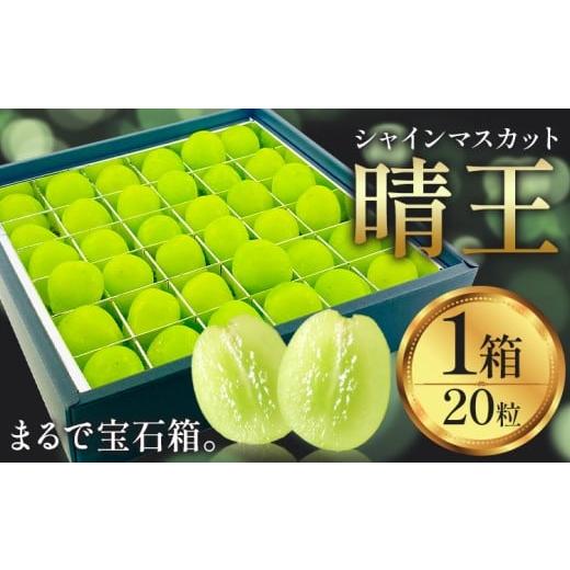 ふるさと納税 ぶどう マスカット 岡山県 浅口市 2026年発送先行予約 シャインマスカット 晴王 20粒 シャイン マスカット[2026年9月中旬-10月中旬頃出荷予定…