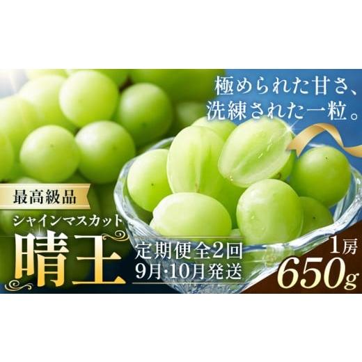 ふるさと納税 ぶどう マスカット 岡山県 浅口市 2026年発送先行予約 シャインマスカット 晴王 2ヶ月 定期便 650g(1房)×2回お届け 最高級品 シャイン マスカ…