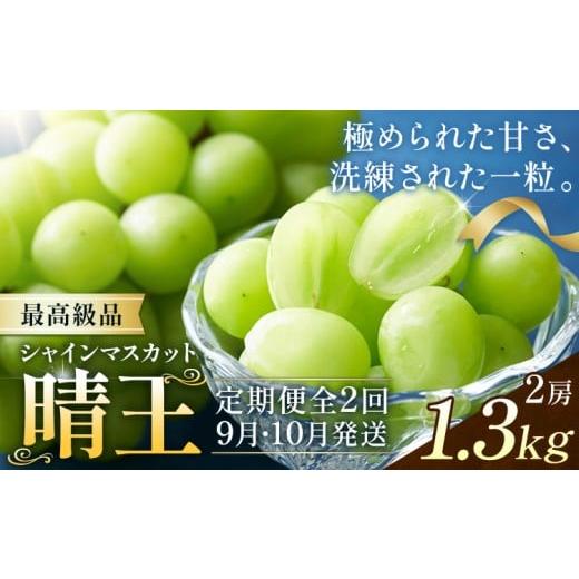 ふるさと納税 ぶどう マスカット 岡山県 浅口市 2026年発送先行予約 シャインマスカット 晴王 2ヶ月 定期便 1.3kg(2房)×2回お届け 最高級品 シャイン マスカ…