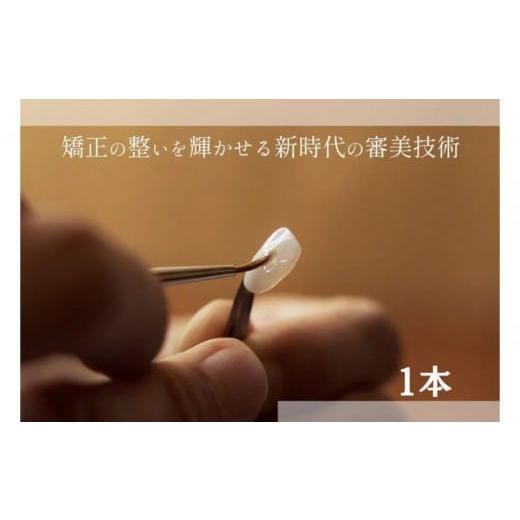 ふるさと納税 体験チケット 愛知県 名古屋市 ブラックフィルム施術券(1本)