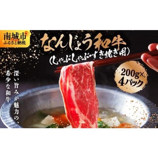 ふるさと納税 牛肉 ロース 沖縄県 南城市 [極上の味わい]和牛しゃぶしゃぶ用 200g×4パック 合計800g なんじょう和牛|黒毛和牛 しゃぶしゃぶ 牛肉 沖縄県 南…
