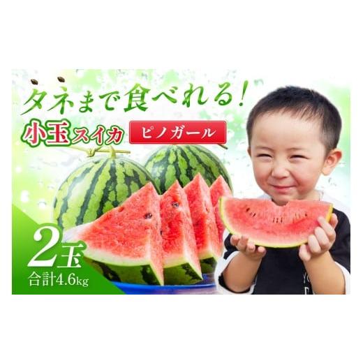 ふるさと納税 スイカ 和歌山県 御坊市 選び抜いた 小玉すいか ピノガール 2L 2玉[先行予約]2026年6月上旬から順次発送予定 配送不可地域:北海道・沖縄・離…