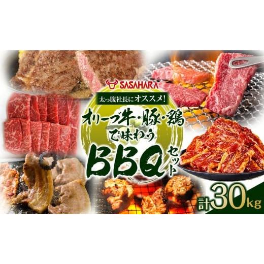 ふるさと納税 牛肉 焼肉・バーベキュー 香川県 高松市 太っ腹社長にオススメ オリーブ牛・豚・鶏で味わう BBQセット 計30kg