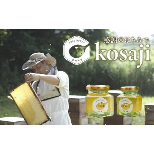 ふるさと納税 加工品等 はちみつ 愛知県 豊橋市 年内お届け 豊橋蜂蜜 kosaji 春はちみつ150g+100g 瓶入り ギフトセット 贈答 プレゼント お歳暮 お中元 お…