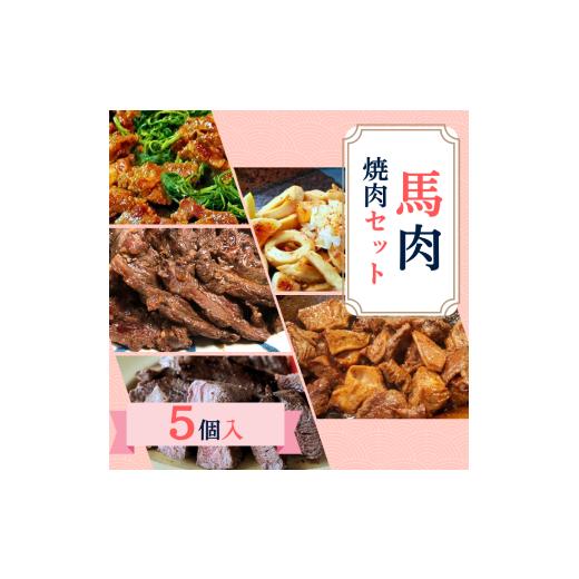 ふるさと納税 馬肉 長野県 飯田市 馬 肉 焼肉 セット | ジビエ 肉 にく ジンギス 馬 さくら 味付 味付け肉 簡単 便利 焼肉 炒め物 惣菜 おかず おつまみ セッ…
