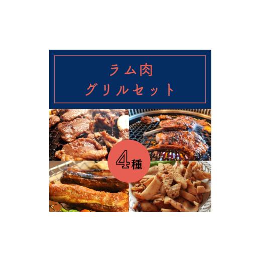 ふるさと納税 羊肉 長野県 飯田市 ラム 肉 グリル セット | ジビエ 肉 にく ジンギス 羊 ラム 味付 味付け肉 簡単 便利 焼肉 炒め物 惣菜 おかず おつまみ セ…