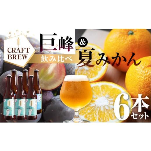 ふるさと納税 ビール 地ビール 愛知県 豊橋市 年内お届け 東三河の地産地消にこだわったクラフトビール『DAMONDE』巨峰・夏みかん(2種6本セット) …