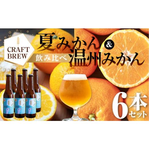 ふるさと納税 ビール 地ビール 愛知県 豊橋市 東三河の地産地消にこだわったクラフトビール『DAMONDE』夏みかん・温州みかん(2種6本セット) ビール…
